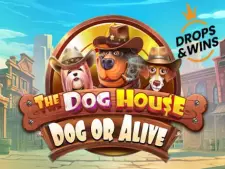 The Dog House Dog Or Alive